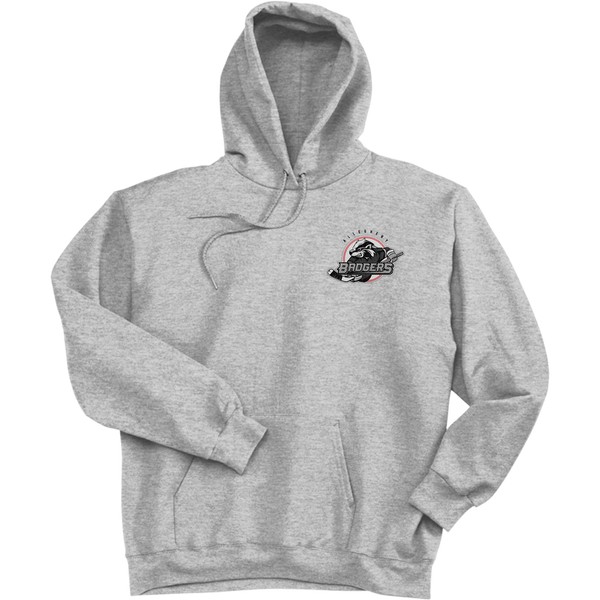 Allegheny Badgers Ultimate Cotton - Pullover Hooded Sweatshirt