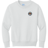 Hazel Park Bears Youth Core Fleece Crewneck Sweatshirt